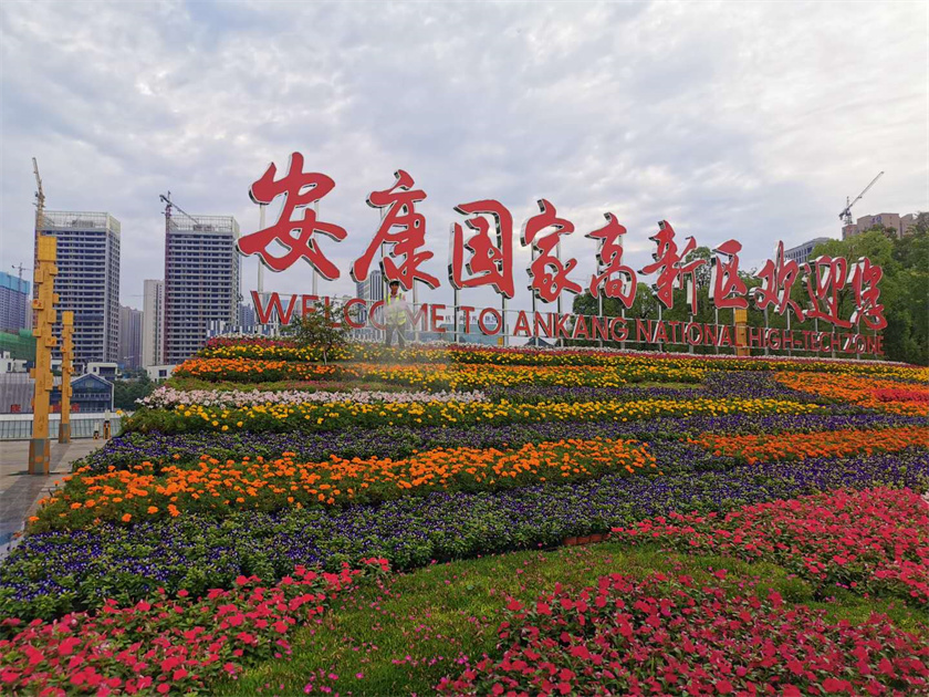 綠化養(yǎng)護(hù)-澆水