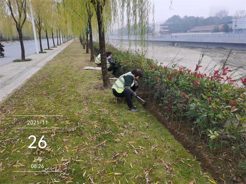 綠化養(yǎng)護(hù)-提升