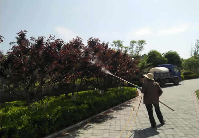 飛地公園草坪養護