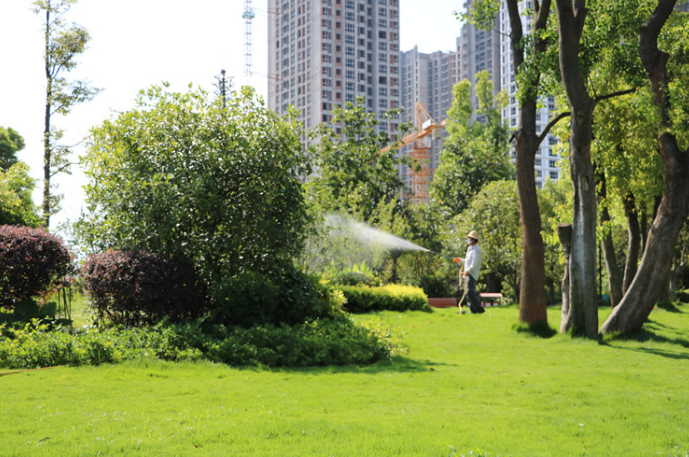 在商業公園噴灑防蟲藥水
